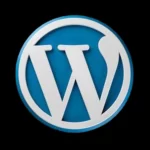 Best digital marketer in Calicut